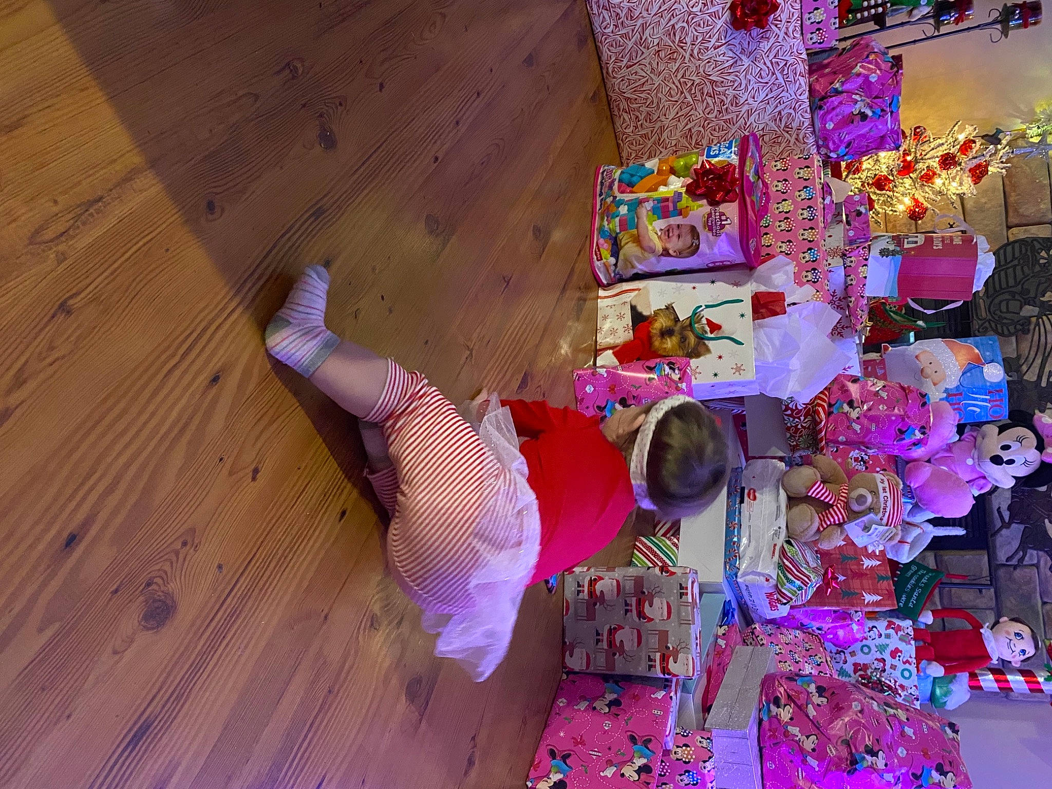 Harleigh is registered to the contest to win money with this photo: art, child, dress, event, flooring, fun, hardwood, joy, leisure, magenta, person, pink, plant, purple, room, toddler, toy, tree, violet, window