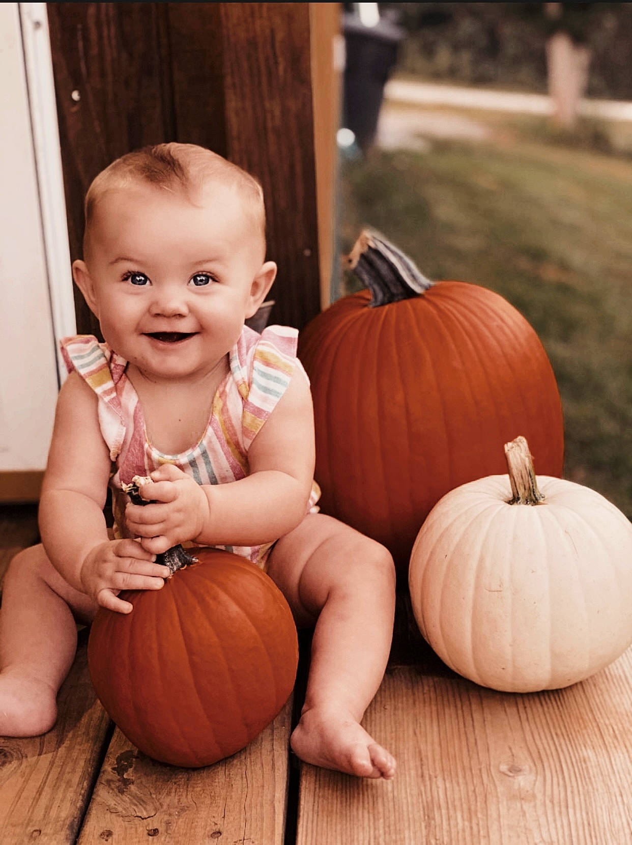 Kynlee joined the competition — help win amazing prizes! calabaza, cucurbita, dress, eye, facial_expression, hairstyle, head, human_body, joy, leaf, leg, mouth, natural_foods, orange, person, photograph, plant, pumpkin, smile, standing