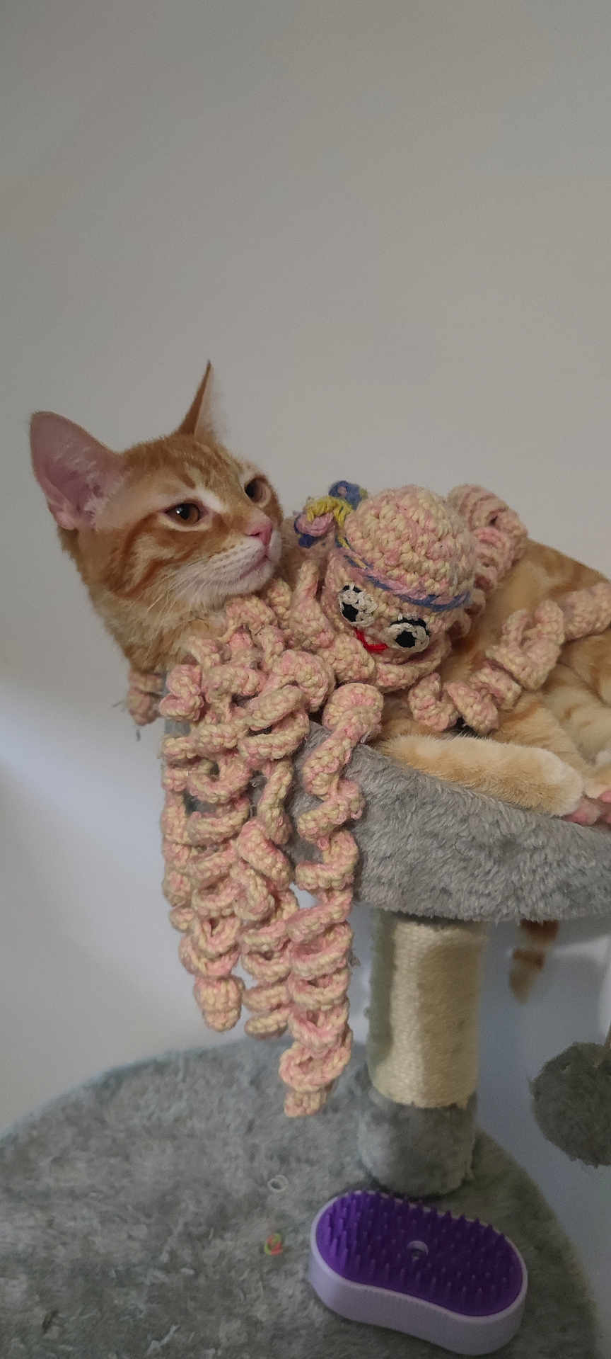Paramètre participe au concours pour gagner de l'argent avec cette photo : cat, orange_tabby, crocheted_toy, octopus, cat_tree, gray, pet, feline, indoor, animal, relaxed, curious, fur, whiskers, ears, paws, toy, handmade, knit, cozy