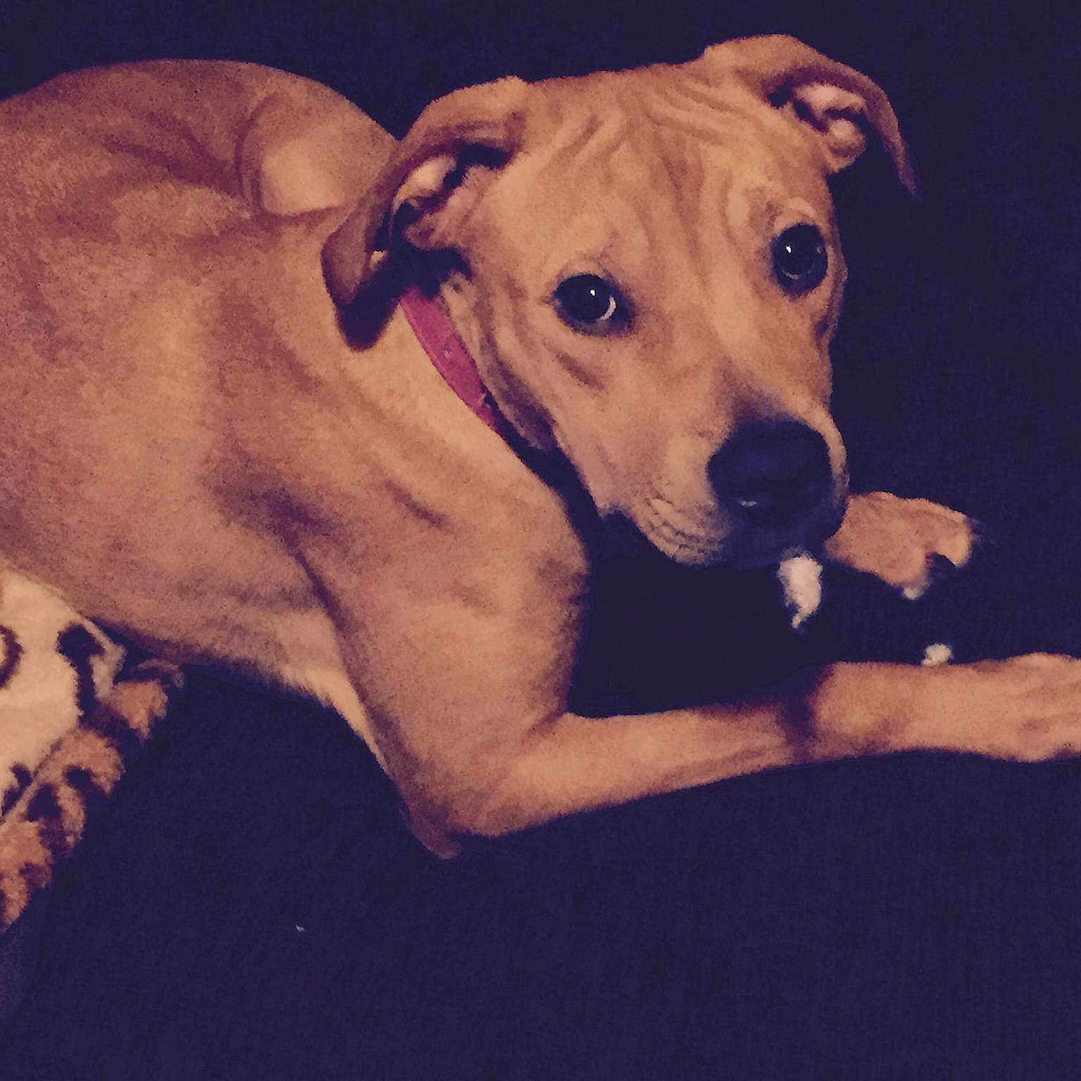 Bella joined the competition — help win amazing prizes!