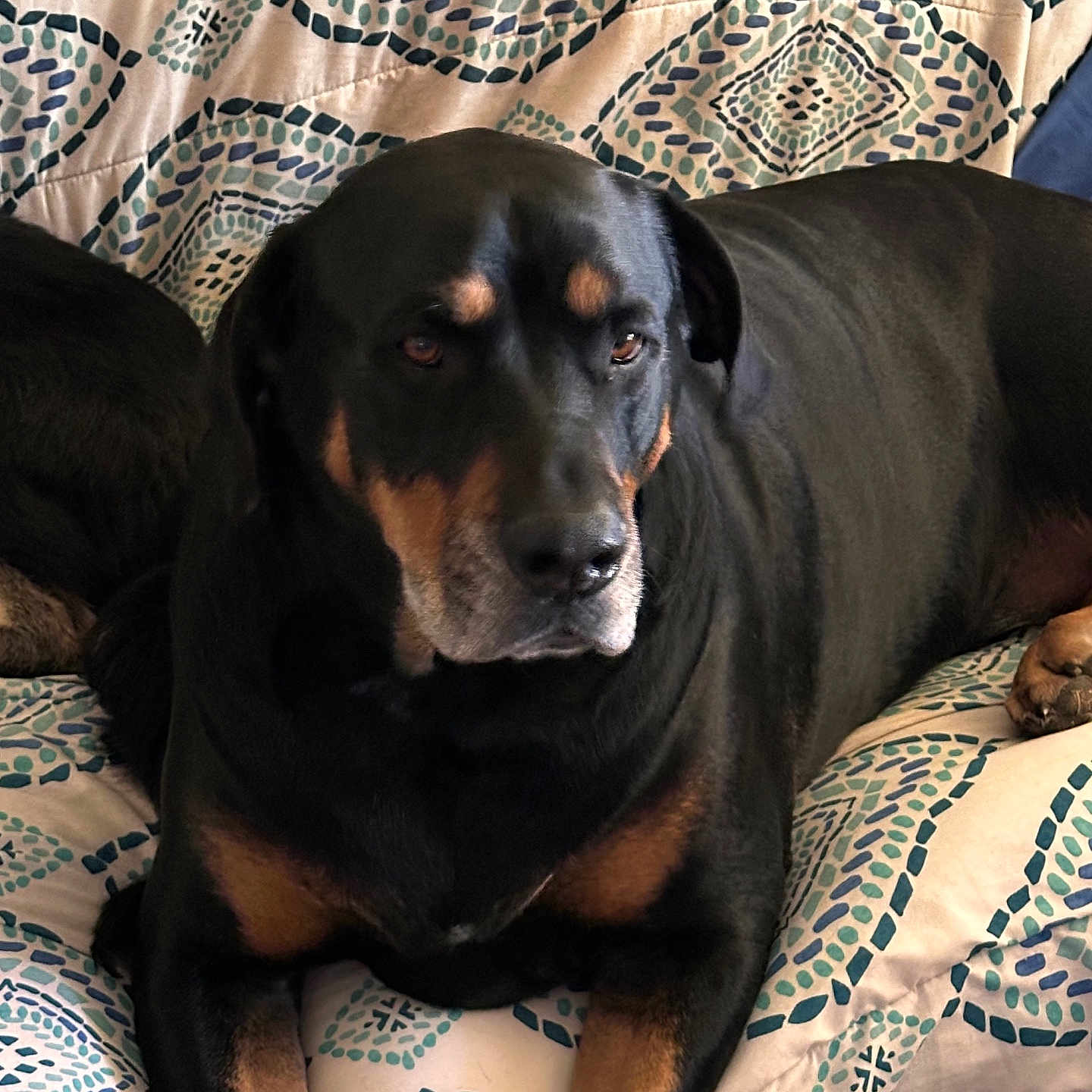 Samson