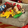 dog, puppy, small_dog, pet, stuffed_animals, plush_toys, toy_dog, toy_duck, toy_bee, toy_crocodile, pet_bed, blanket, cushion, indoor, cozy, colorful, sitting, lying_down, portrait, animal_face