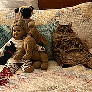 Nova joined the competition — help win amazing prizes! cat, tabby_cat, doll, stuffed_animal, bed, quilt, pillow, plush_toy, indoor, furniture, relaxed, sitting, fluffy, patterned, fabric, animal, pet, toy, home, cozy