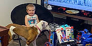 Cambridge is registered to the contest to win money with this photo: child, boy, dog, chair, toys, hot_wheels, spiderman, tv_screen, snacks, water_bottle, sneakers, backpack, living_room, floor, table, smile, pet, indoor, clothing, happy