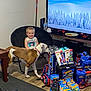 child, boy, dog, chair, toys, hot_wheels, spiderman, tv_screen, snacks, water_bottle, sneakers, backpack, living_room, floor, table, smile, pet, indoor, clothing, happy