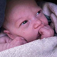 Kenzley is registered to the contest to win money with this photo: baby, blanket, child, closeup, cute, face, hand, human, indoors, infant, newborn, newborn_baby, portrait, resting, skin, sleepy, small, soft, warm, wrapped