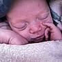 Kenzley is registered to the contest to win money with this photo: baby, newborn, sleeping, face, hand, blanket, soft, peaceful, closeup, skin, infant, rest, portrait, cute, child, cozy, warm, closed_eyes, tiny, sleep