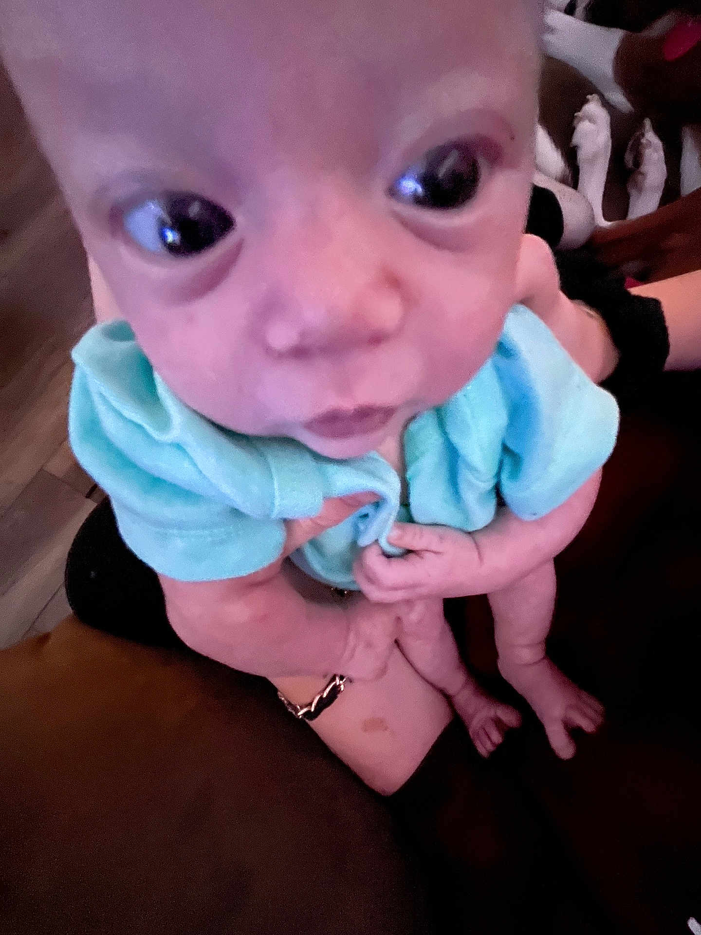 Kenzley is registered to the contest to win money with this photo: baby, infant, close_up, face, large_eyes, blue_clothing, person, hand, arm, skin, feet, indoor, couch, holding, portrait, child, young, human, expression, looking