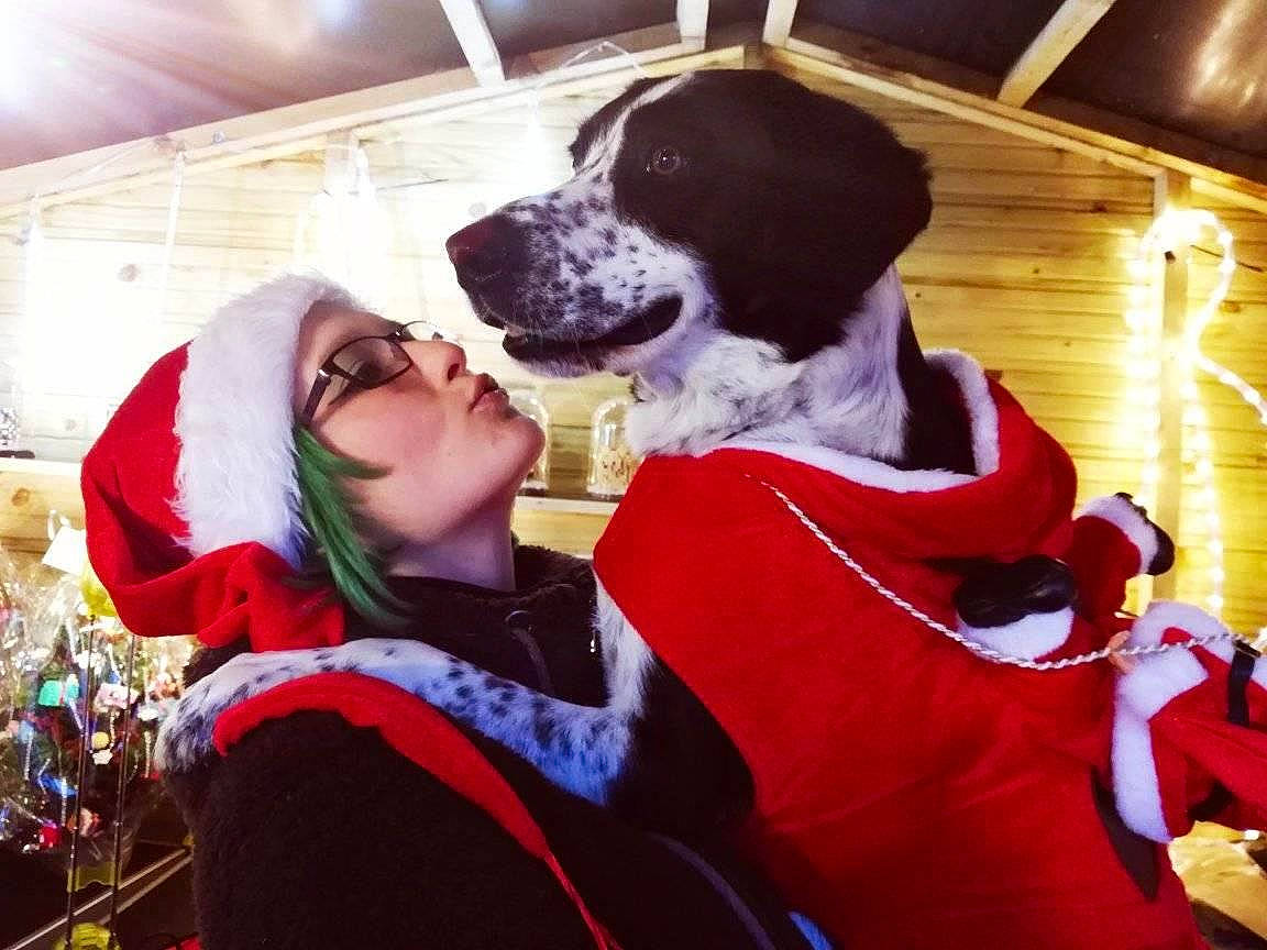 Kepler a rejoint le concours — aidez-le/la à gagner de superbes lots ! canidae, carnivore, christmas, cool, costume, dog, dog_breed, fun, happy, love, outerwear, puppy_love, selfie, smile, snow, sporting_group