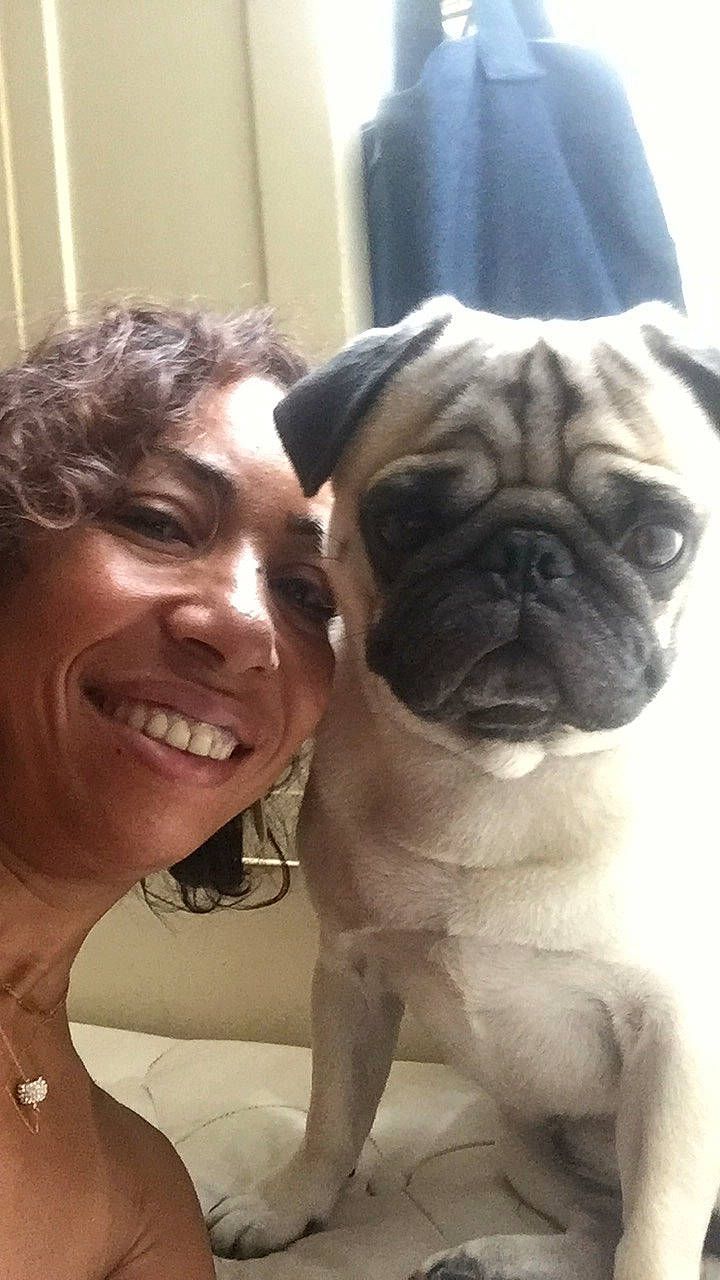 Bouille participe au concours pour gagner de l'argent avec cette photo : carnivoran, companion_dog, dog, dog_breed, dog_breed_group, dog_like_mammal, fawn, joy, mammal, person, pug, puppy, puppy_love, snout, toy_dog, vertebrate