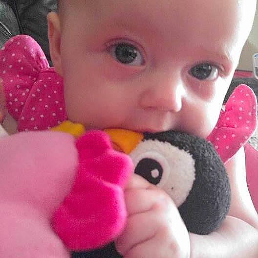 Noelle is registered to the contest to win money with this photo: baby_toys, cheek, child, ear, eye, finger, hand, infant, material, nose, person, pink, play, plush, product, skin, stuffed_toy, textile, toddler, toy