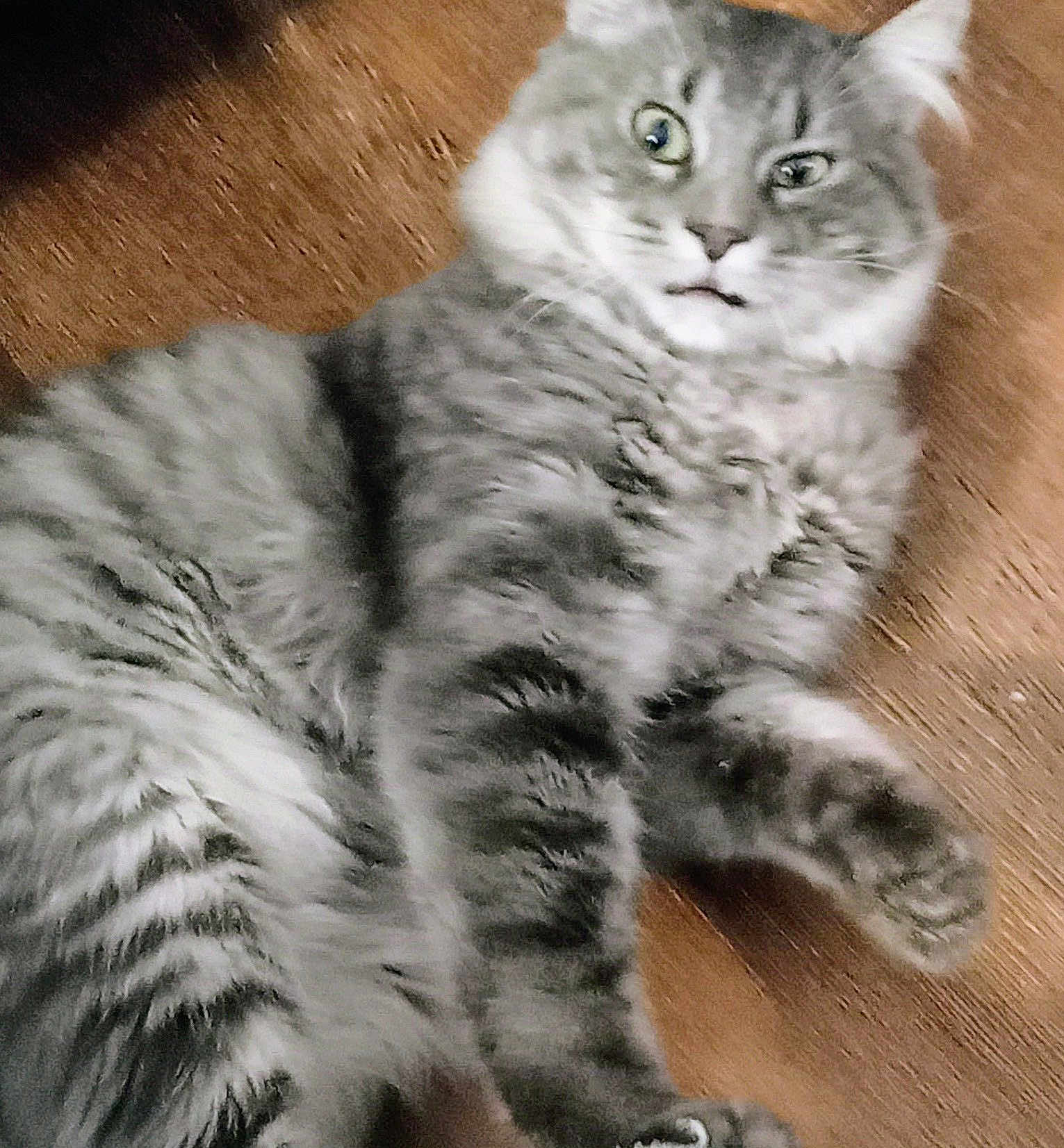 Boris Monsterkarloff