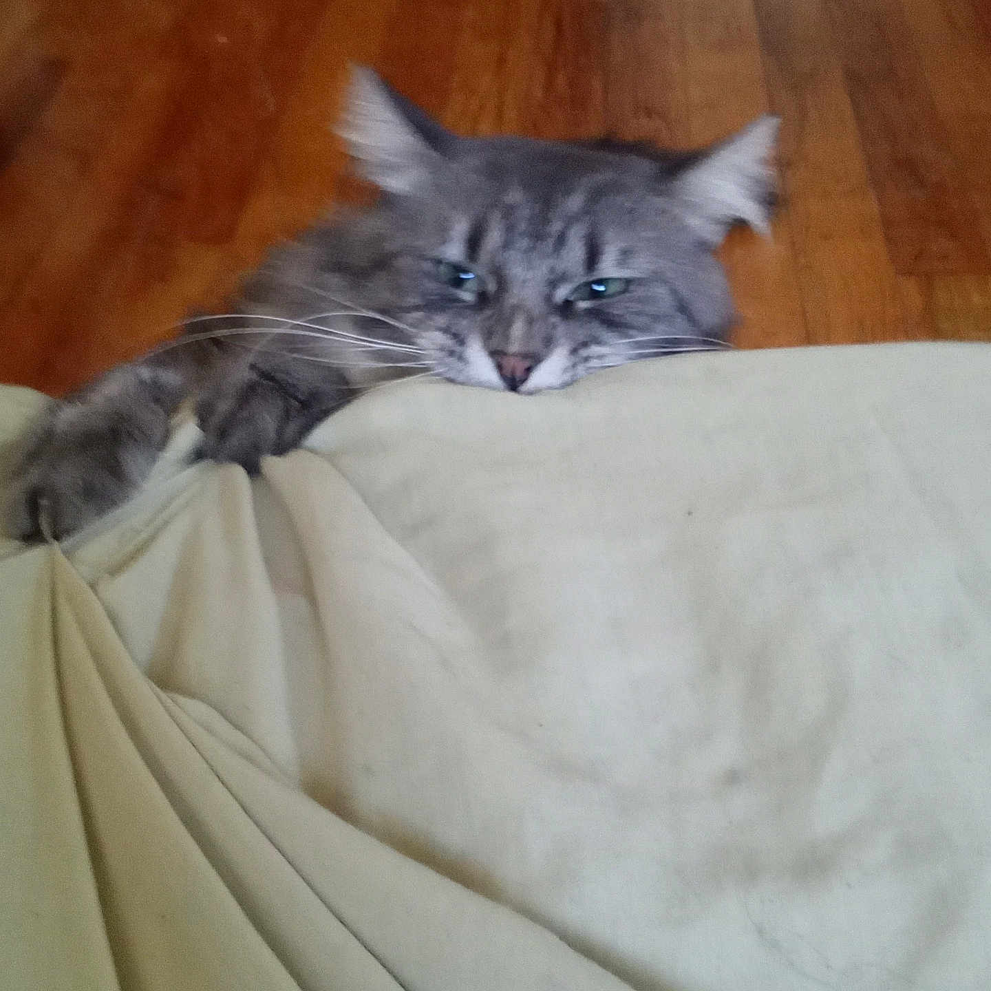 Boris Monsterkarloff