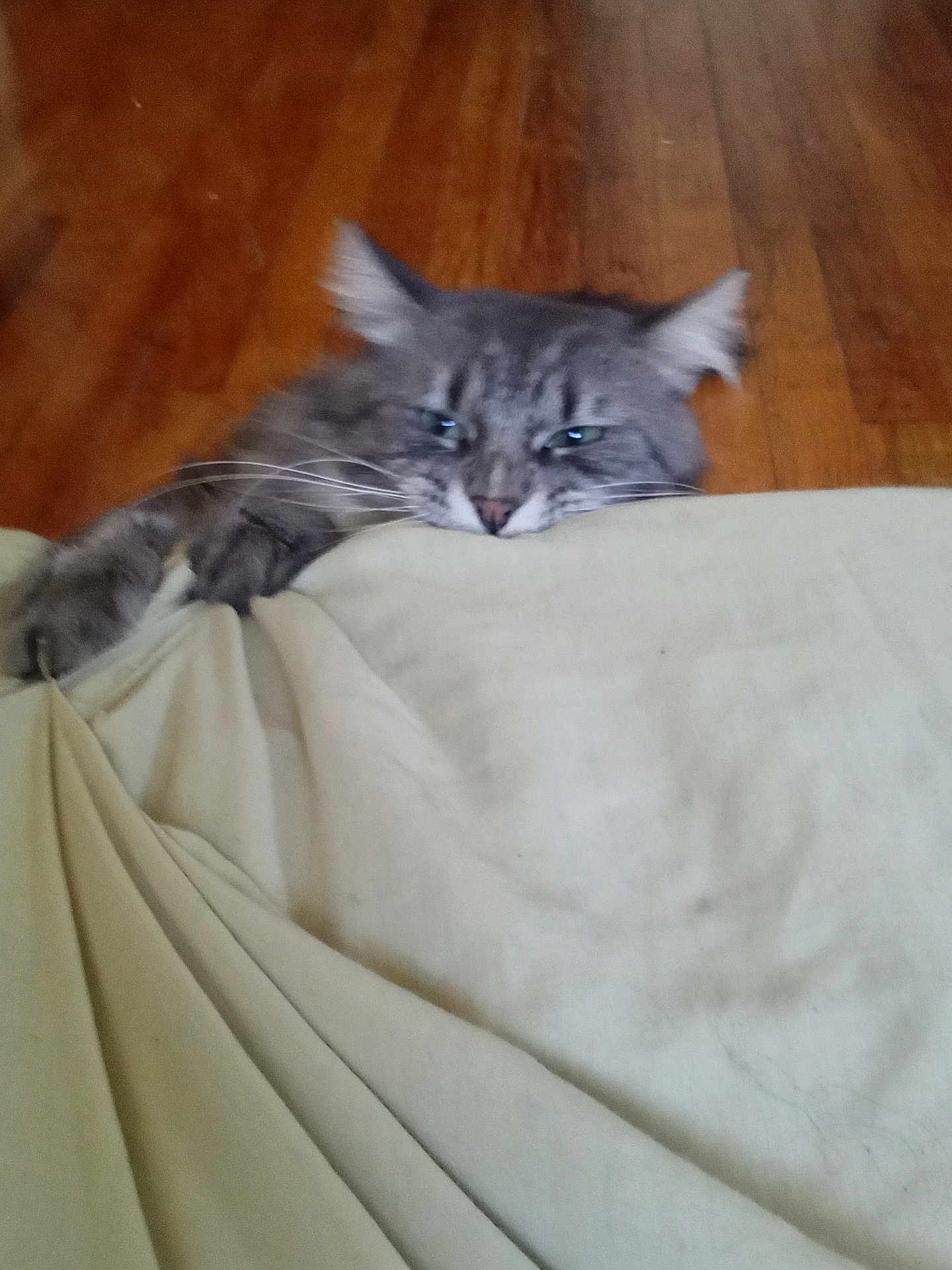 Boris Monsterkarloff