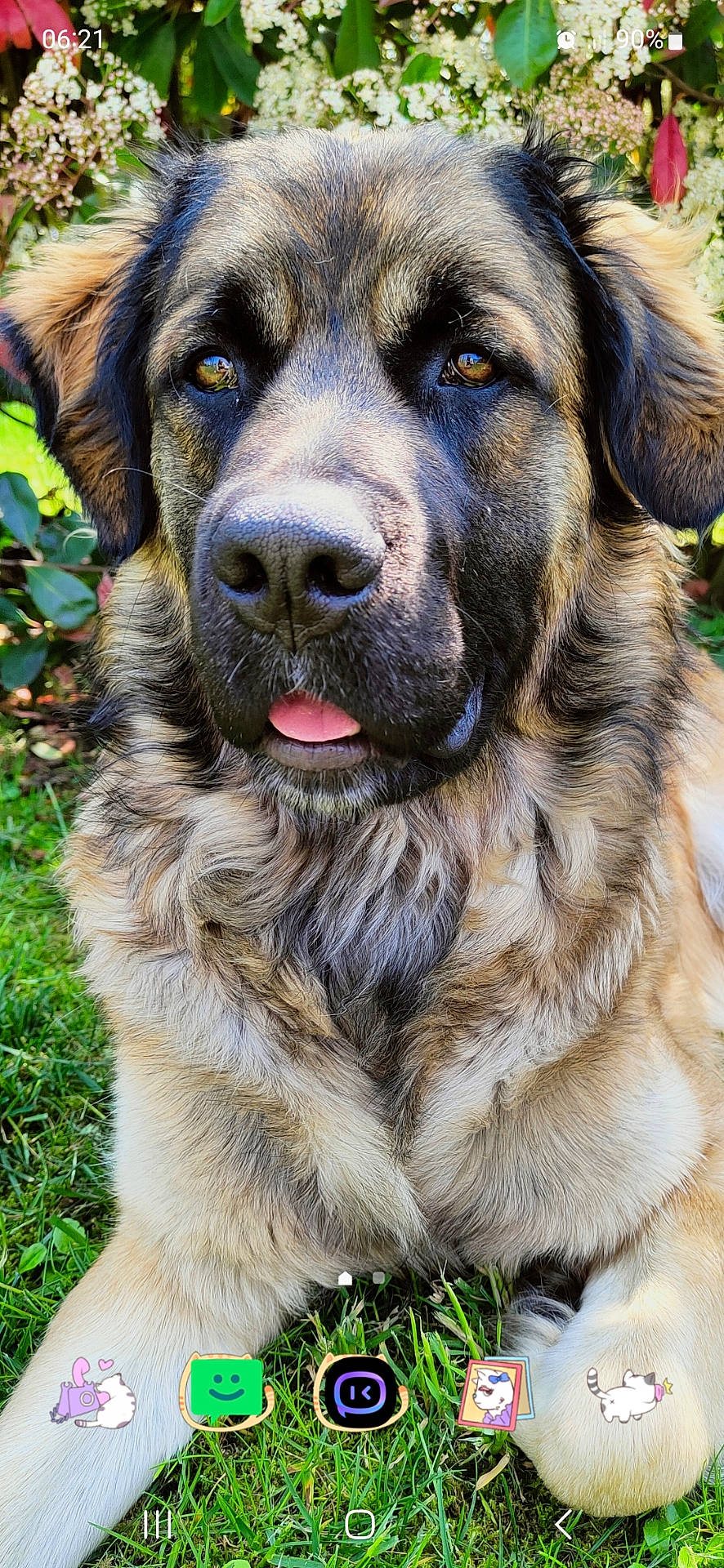 Boris