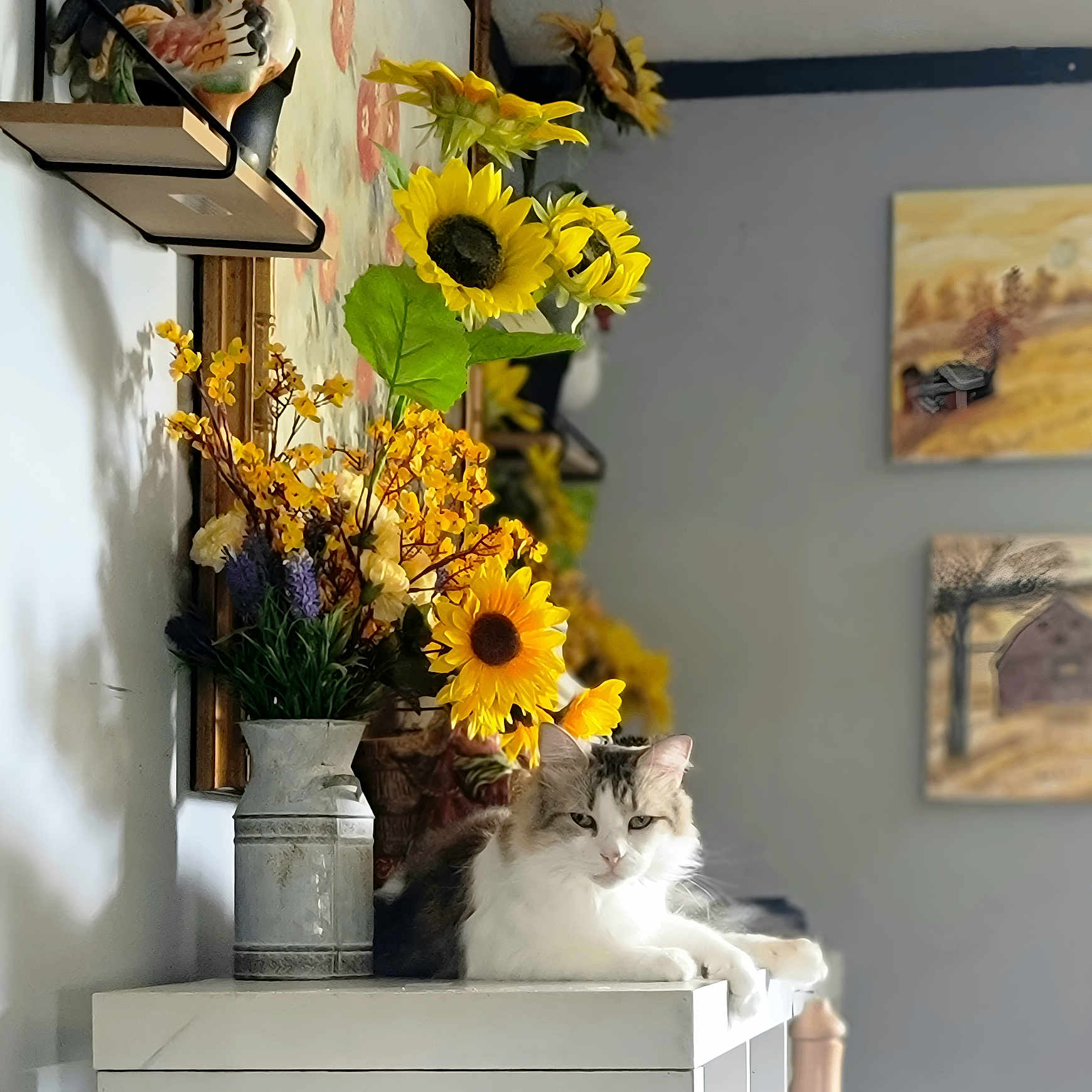 Penelope is registered to the contest to win money with this photo: animal, art, cat, daisy, flower, flowerarrangement, flowerbouquet, ikebana, indoors, interiordesign, jar, painting, person, pet, petal, plant, pottedplant, pottery, sunflower, vase