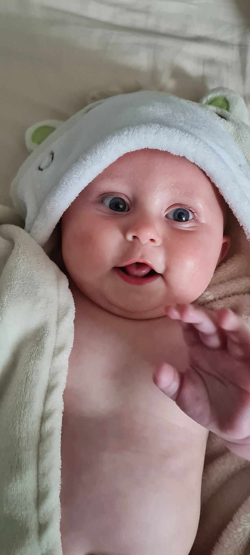 Maddison