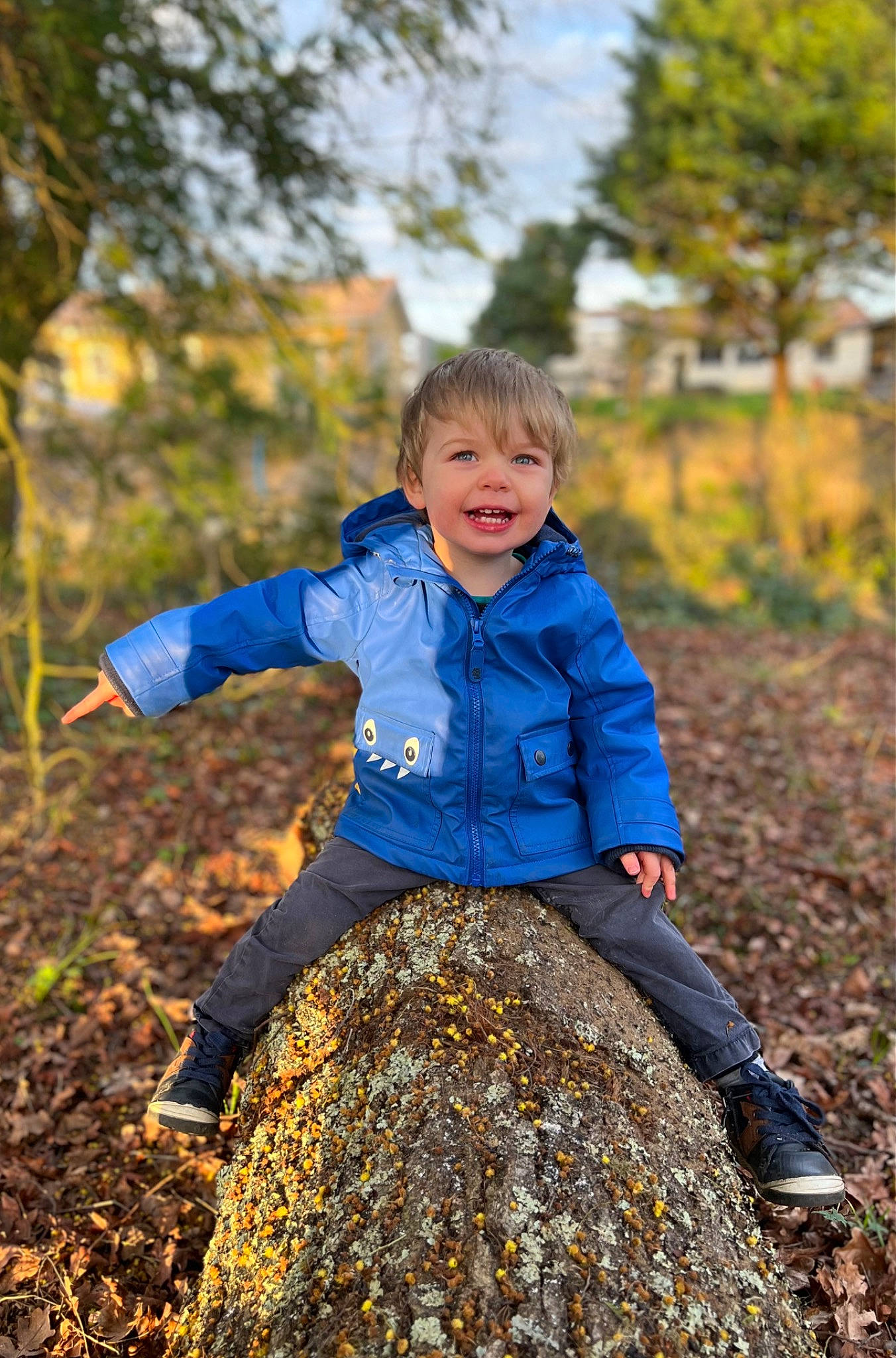 Eden participe au concours pour gagner de l'argent avec cette photo : deciduous, electric_blue, face, fun, grass, happy, jacket, jeans, joy, leaf, leisure, nature, outerwear, people, people_in_nature, person, plant, smile, toddler, tree