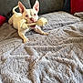 Rosie joined the competition — help win amazing prizes! dog, white_dog, rawhide_bone, couch, blanket, indoor, pet, playful, fur, ears, pillow, red_pillow, black_pillow, comfortable, resting, canine, animal, snout, lying_down, home