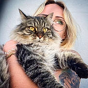 Pinkman a rejoint le concours — aidez-le/la à gagner de superbes lots ! cat, tabby_cat, fluffy, long_hair, pet, animal, yellow_eyes, whiskers, portrait, woman, glasses, blonde_hair, human, holding_pet, tattoo, arm, close_up, indoor, cute, photography