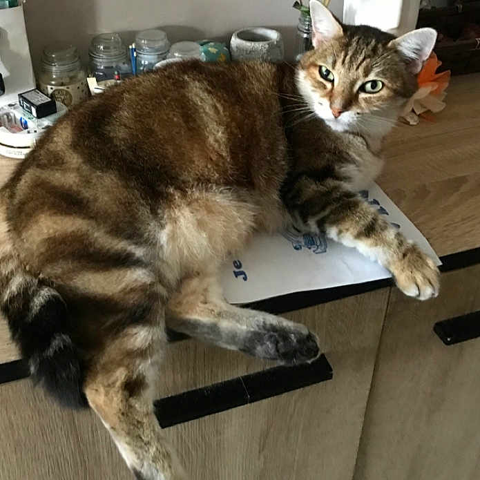 Caramel
