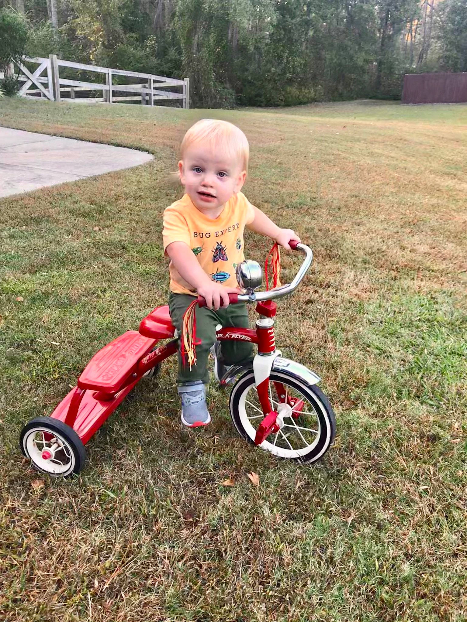 Bo joined the competition — help win amazing prizes! auto_part, baby, baby_toddler_clothing, bench, bicycle, bicycle_part, bicycle_tire, garden, lawn, person, play, riding_toy, rim, spoke, tire, toddler, toy, toy_vehicle, tricycle, wheel