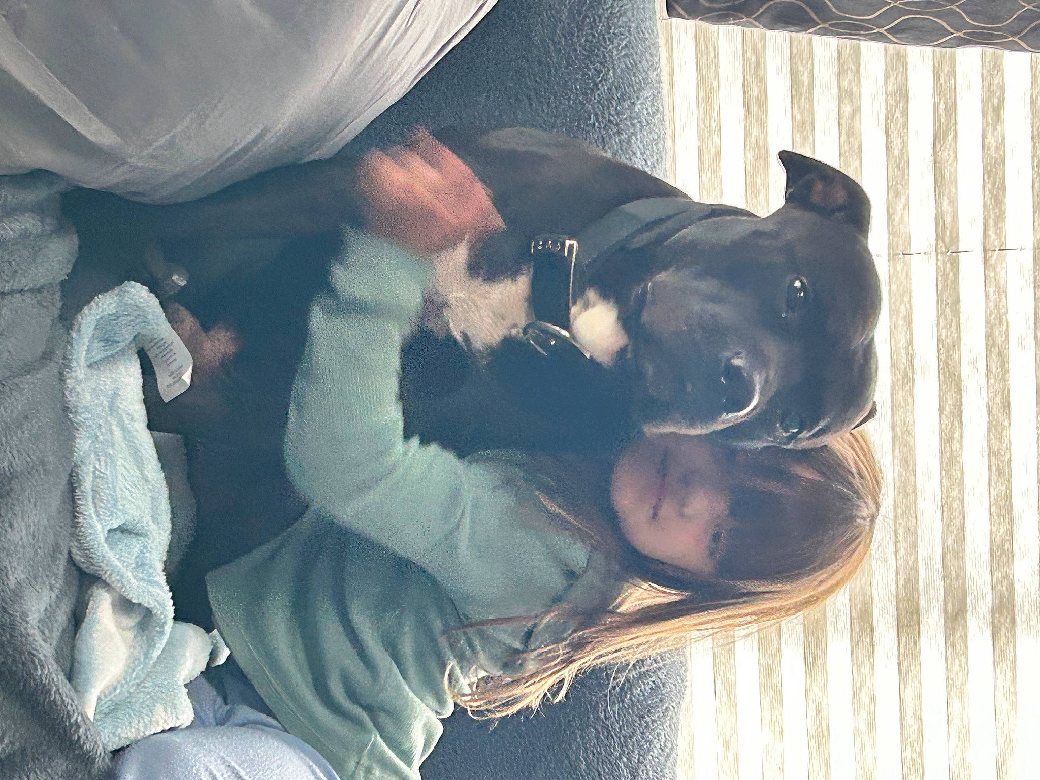 Boy joined the competition — help win amazing prizes! black_hair, carnivore, comfort, companion_dog, dog, dog_breed, ear, eyewear, fawn, fun, fur, gesture, happy, human_body, snout, sporting_group, sunglasses, toy_dog, tree, whiskers