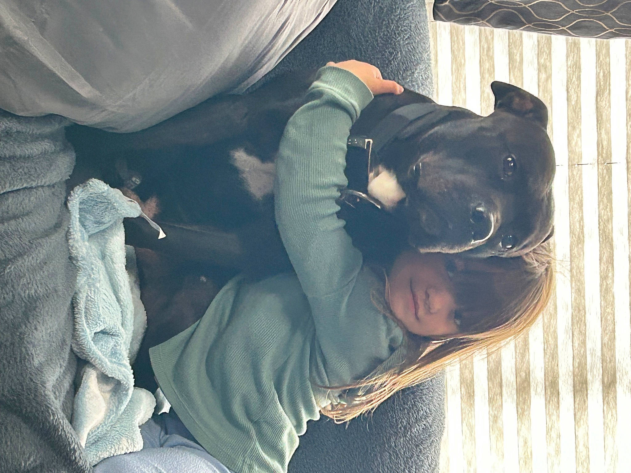 Boy is registered to the contest to win money with this photo: carnivore, comfort, companion_dog, denim, dog, dog_breed, eyewear, flash_photography, fun, fur, grey, guard_dog, human_body, human_leg, personal_protective_equipment, sitting, sunglasses, tints_and_shades, tree, vehicle_door