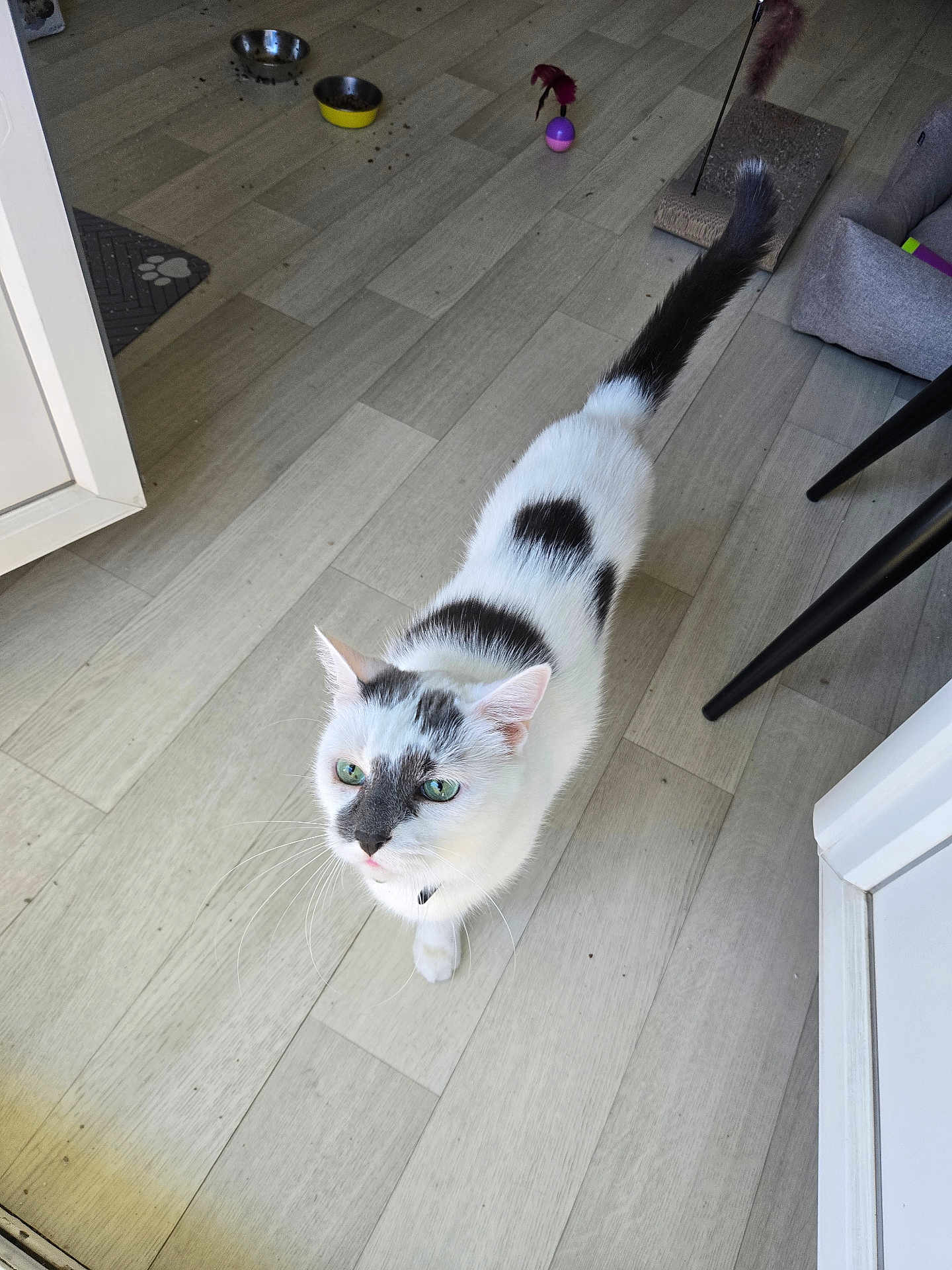 Noisette