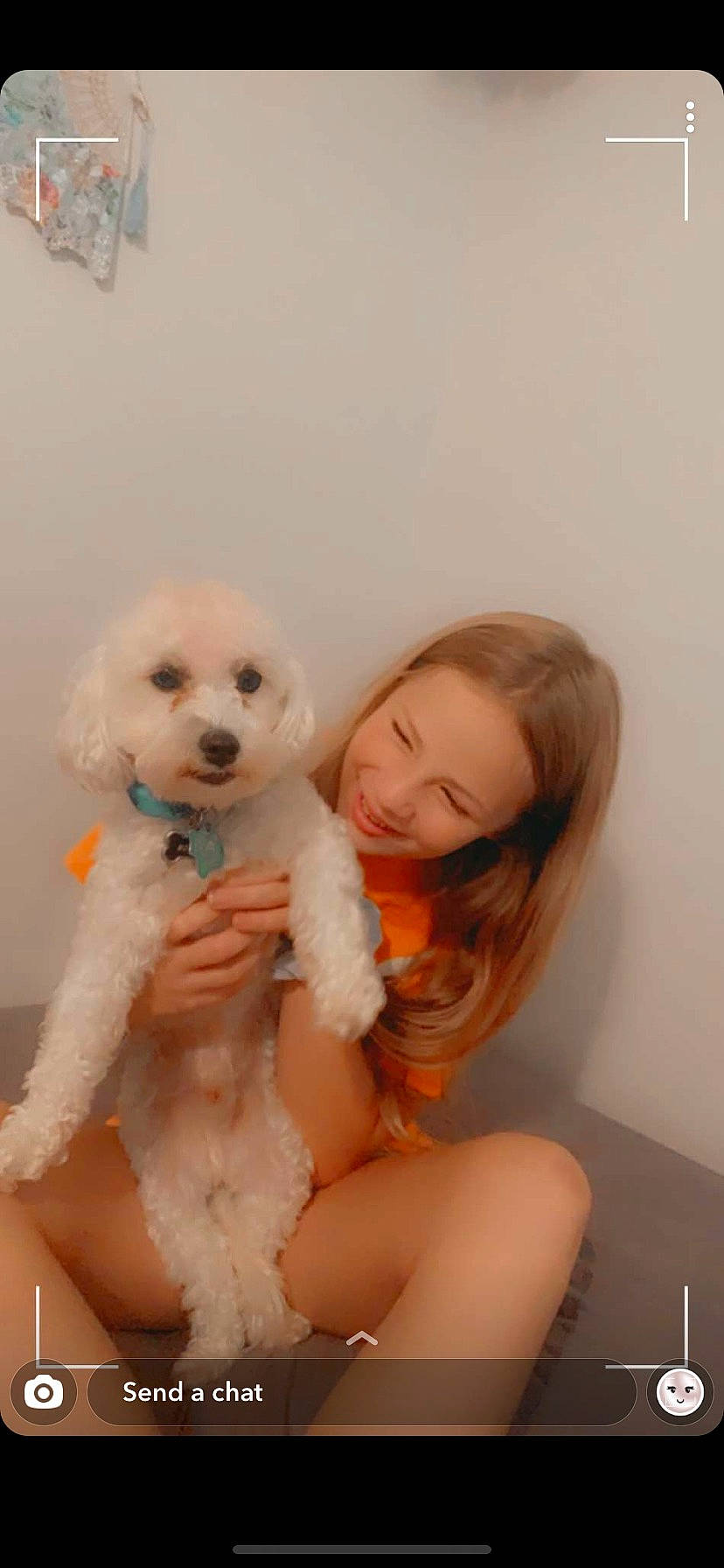 Kristen joined the competition — help win amazing prizes! bichon, bolognese, canidae, carnivore, companion_dog, dog, dog_breed, joy, maltepoo, maltese, mammal, non_sporting_group, nose, person, poodle, poodle_crossbreed, puppy, puppy_love, skin, sporting_group