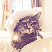 Madeline is registered to the contest to win money with this photo: