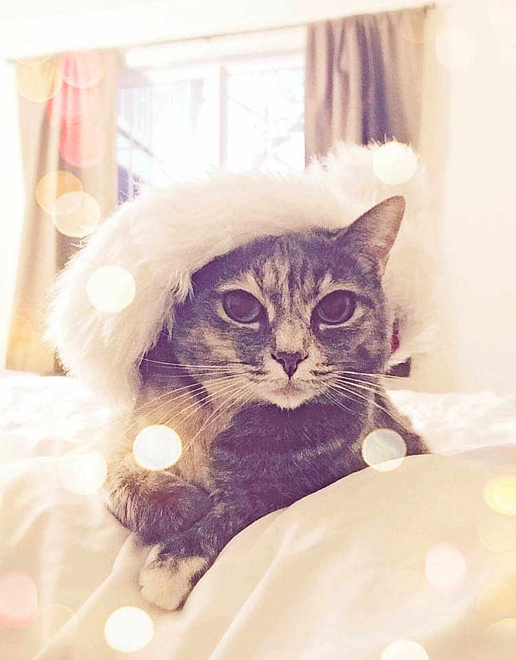 Madeline