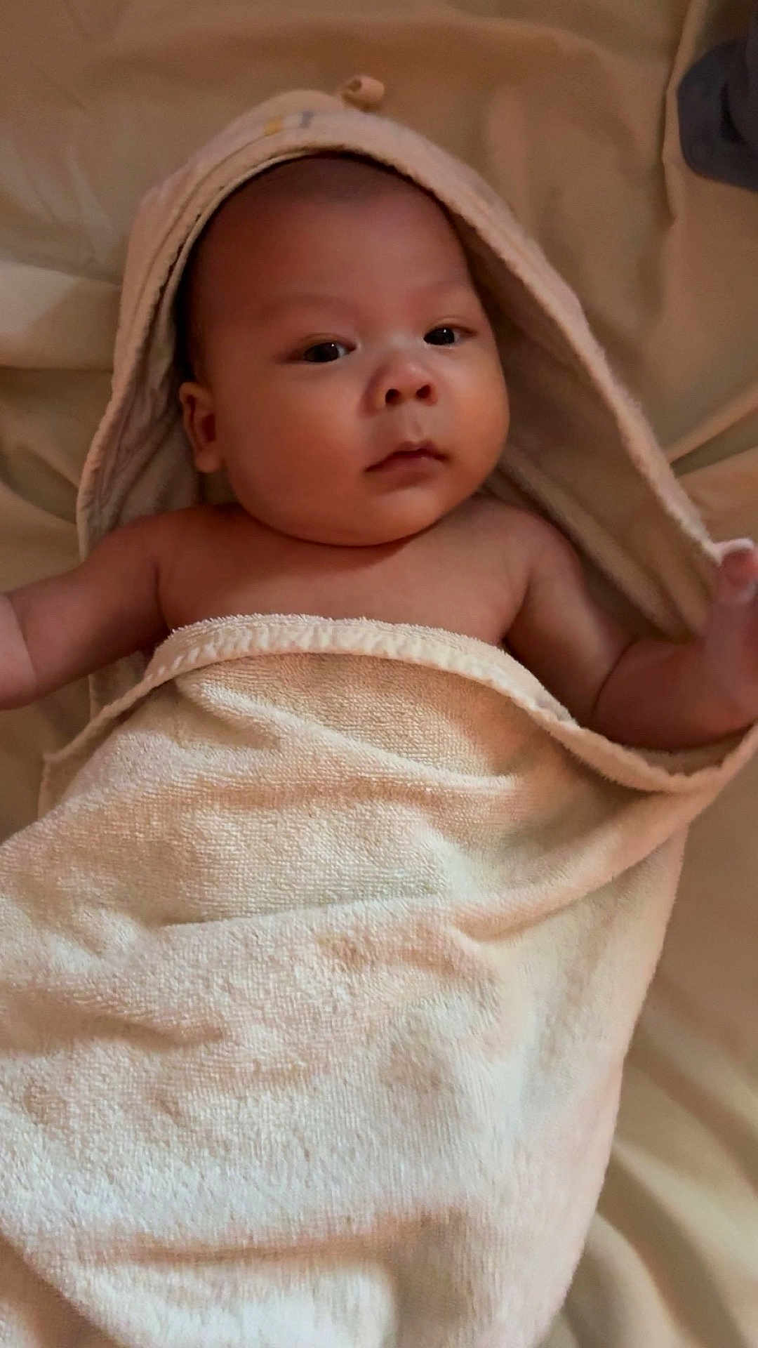 Giovanni a rejoint le concours — aidez-le/la à gagner de superbes lots ! baby, towel, hood, bed, blanket, child, infant, skin, face, arm, lying_down, soft_texture, cute, indoors, portrait, newborn, wrapped, resting, person, calm