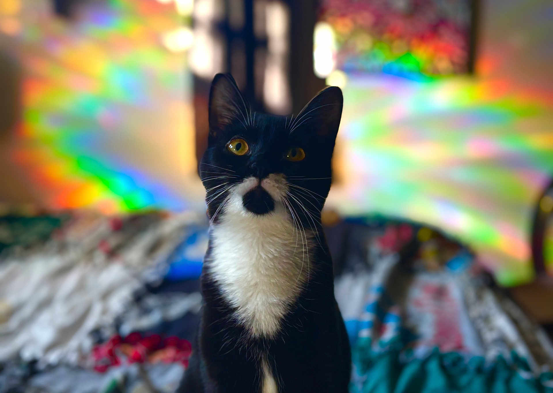 Toots