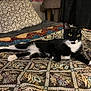 cat, tuxedo_cat, pet, animal, indoor, bed, blanket, pillow, pattern, furniture, resting, alert, fur, whiskers, yellow_eyes, cozy, domestic_cat, cat_tree, relaxed, black_and_white