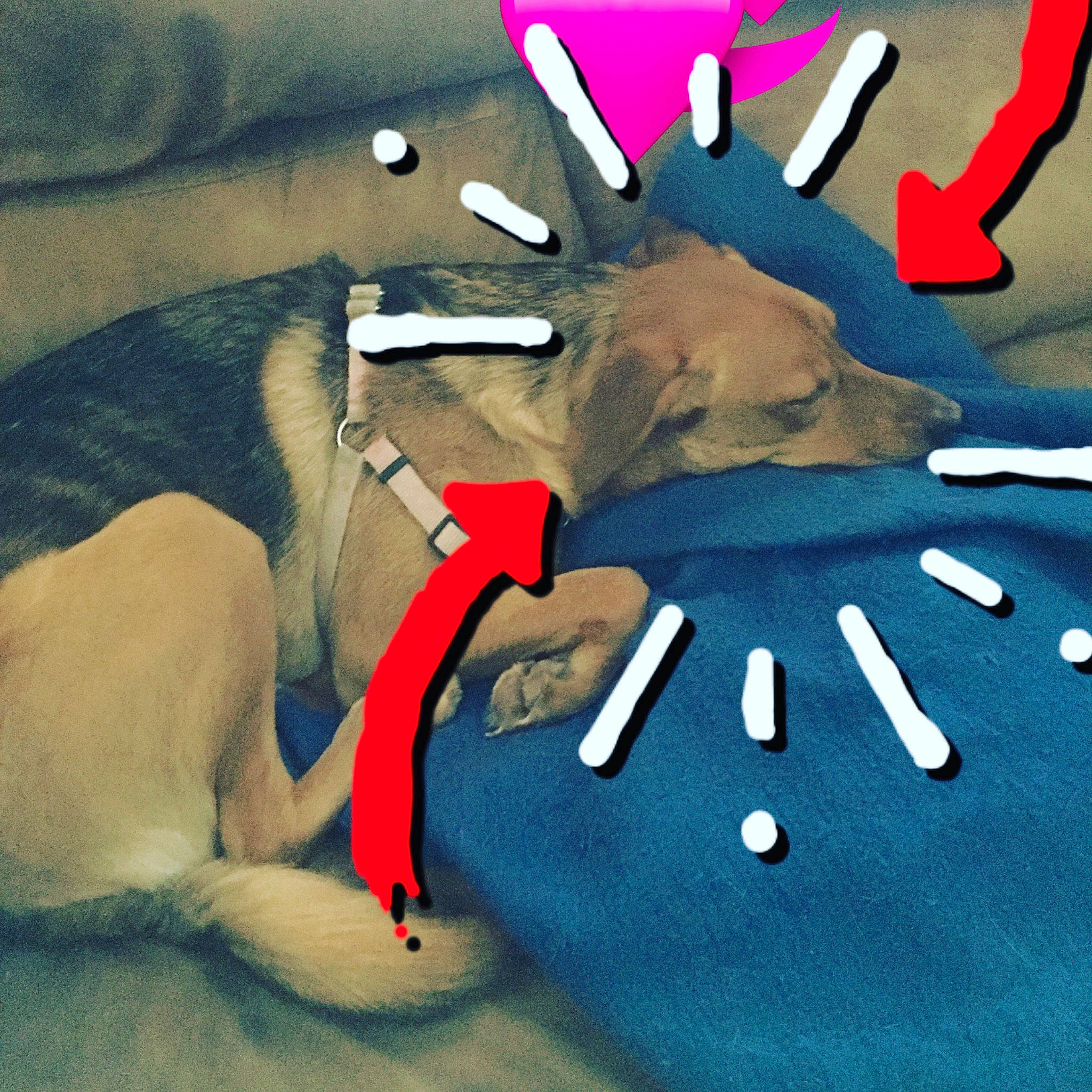 Reese is registered to the contest to win money with this photo: animation, art, fictional_character, finger, hand, illustration, jaw