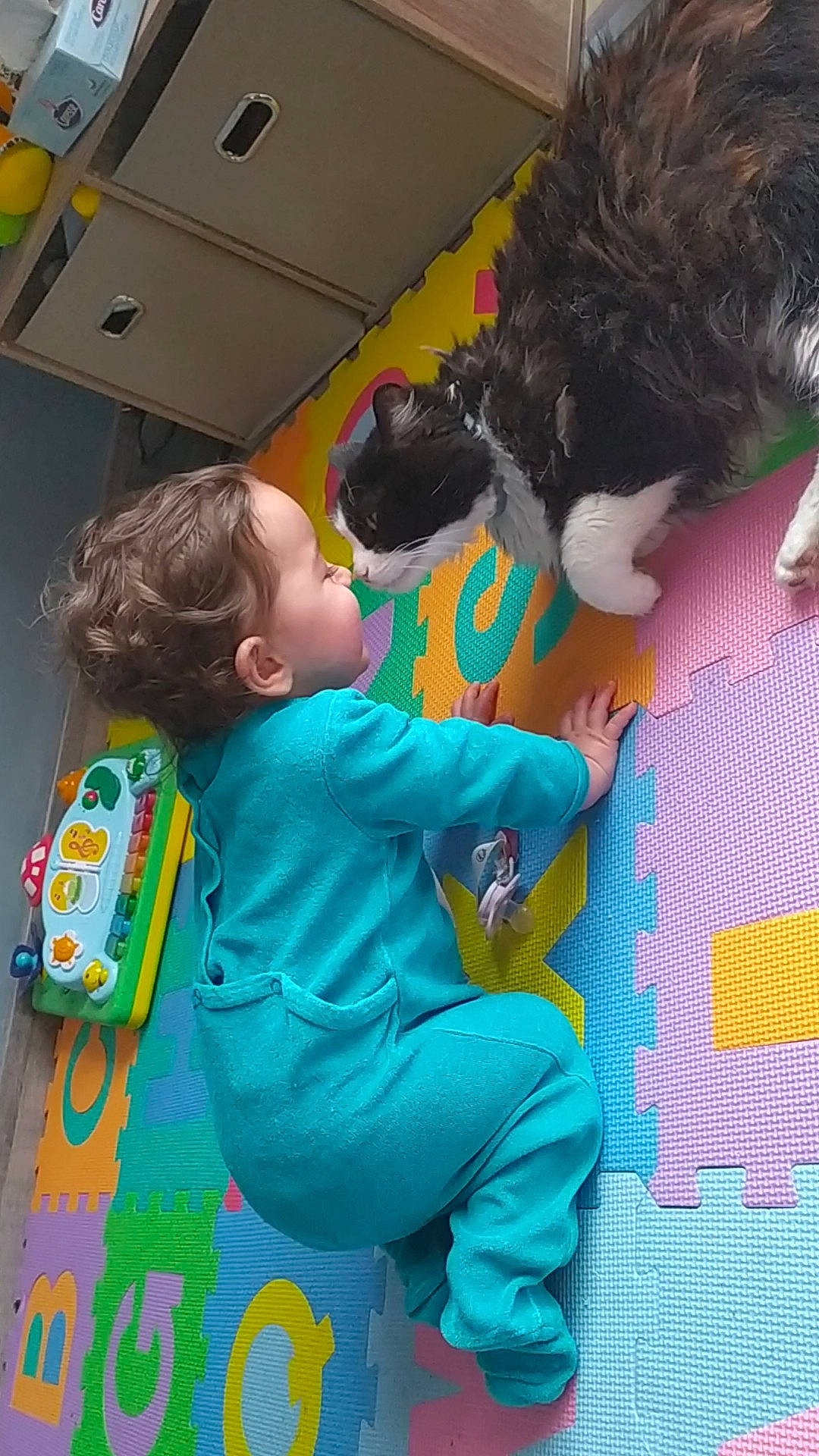 Kalie a rejoint le concours — aidez-le/la à gagner de superbes lots ! child, companion_dog, dog_breed, electric_blue, felidae, flooring, fun, fur, hairstyle, interaction, leisure, person, play, plush, recreation, room, sitting, stuffed_toy, t_shirt, toddler