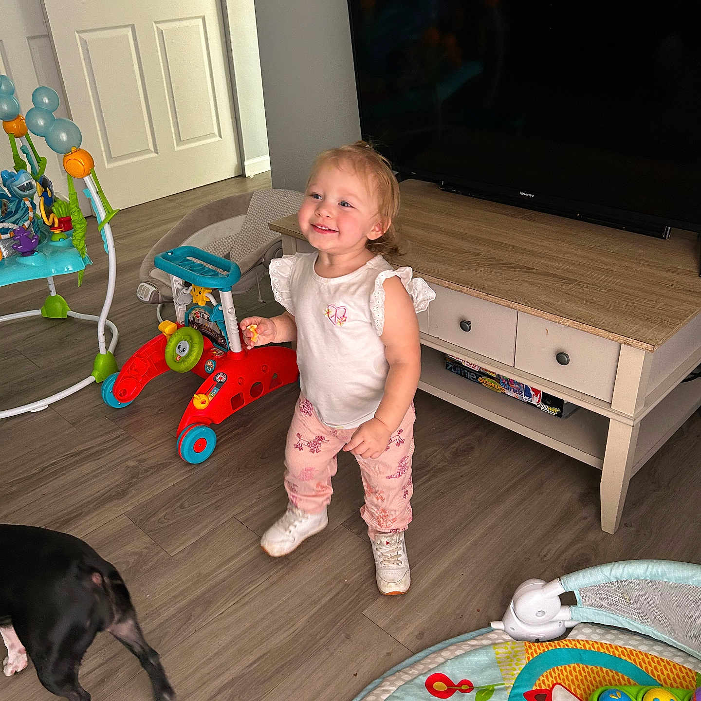 Amelia is registered to the contest to win money with this photo: architecture, building, computerhardware, electronics, face, furniture, hardware, hardwood, head, indoors, interiordesign, livingroom, monitor, person, photography, portrait, room, screen, tv, wood