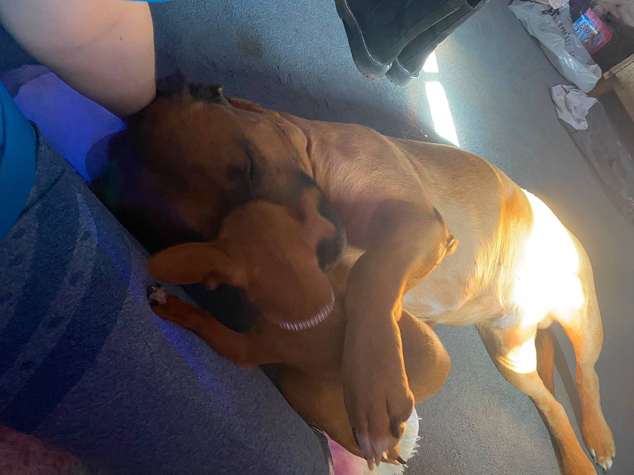 Diesel is registered to the contest to win money with this photo: abdomen, art, barechested, chest, comfort, elbow, finger, flesh, foot, fun, gesture, human_leg, joint, knee, room, stomach, thigh, thumb, trunk, wrist