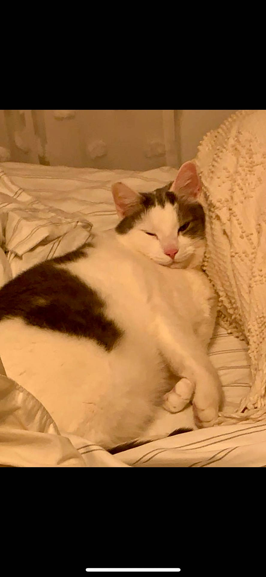 Oliver