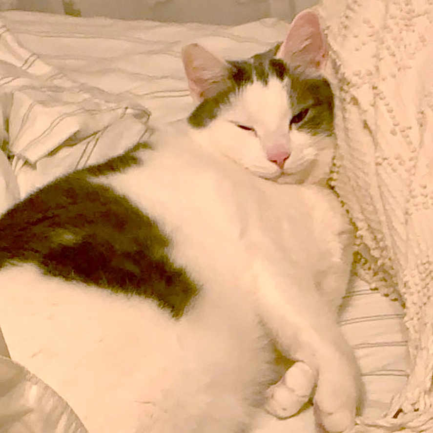 Oliver