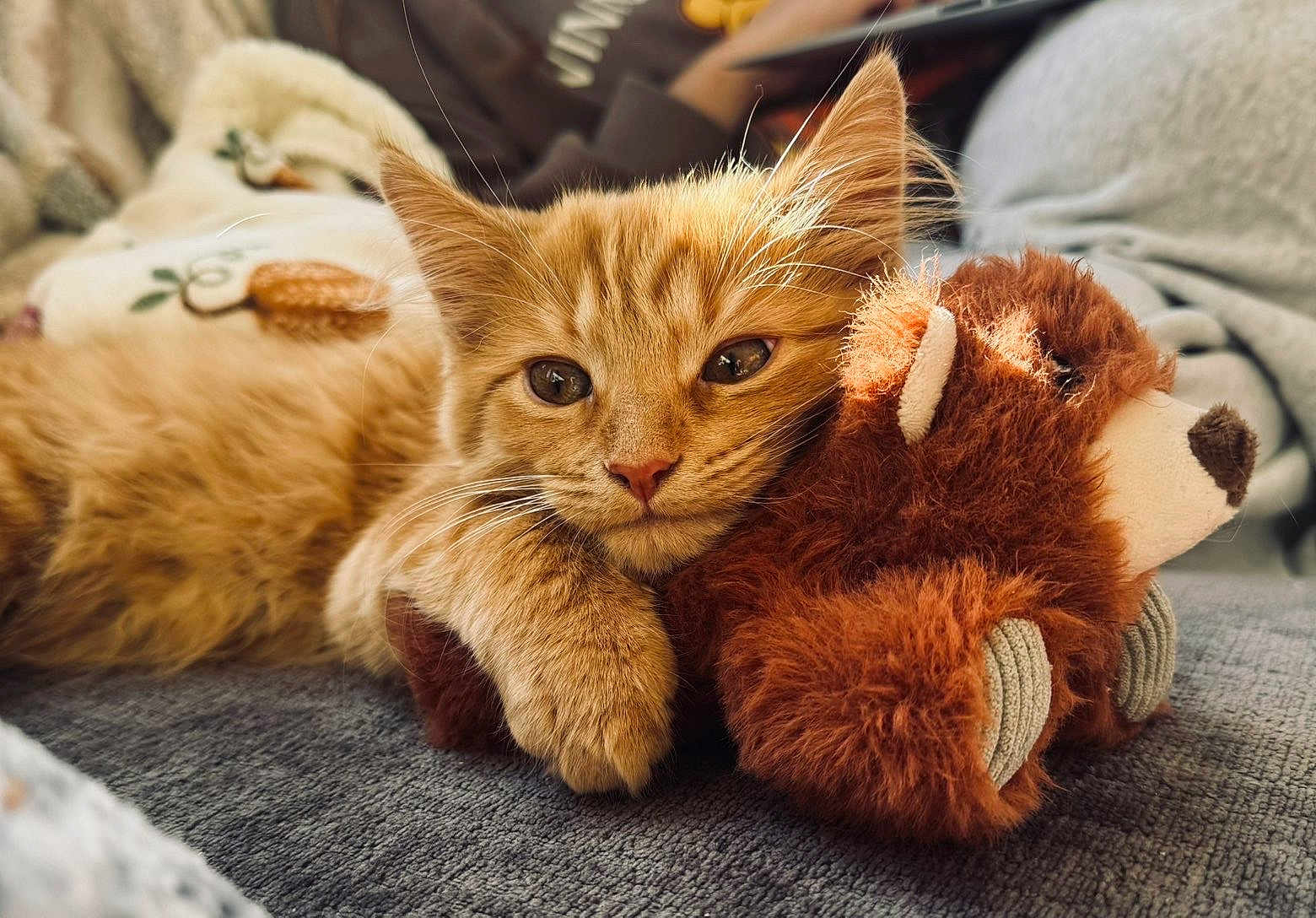Gus
