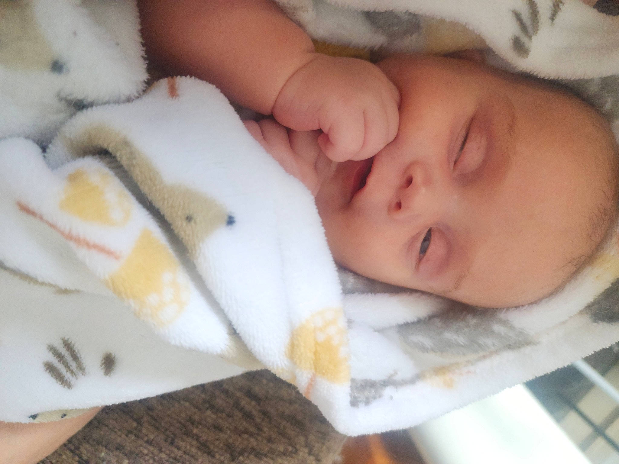 Elizabeth joined the competition — help win amazing prizes! baby, baby_products, baby_toddler_clothing, cheek, child, chin, comfort, eye, eyebrow, eyelash, finger, head, iris, lip, mouth, nail, nose, person, skin, toddler