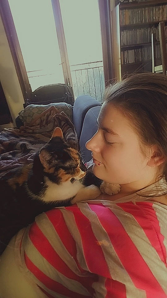 Opium a rejoint le concours — aidez-le/la à gagner de superbes lots ! black_hair, carnivore, cat, ear, eye, fawn, felidae, interaction, love, mouth, nose, puppy_love, selfie, small_to_medium_sized_cats, whiskers