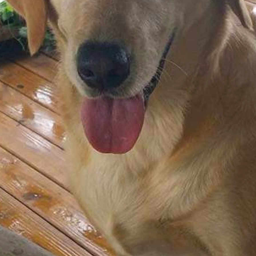 Marley