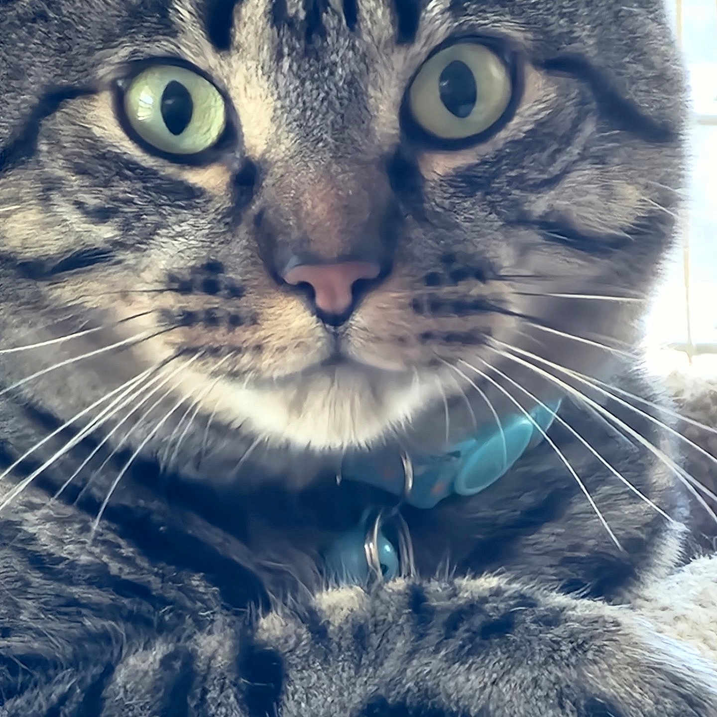 Sam