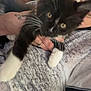 Azgard a rejoint le concours — aidez-le/la à gagner de superbes lots ! kitten, cat, black_and_white, pet, whiskers, person, hand, tattoo, ring, grey_shirt, closeup, indoor, feline, curious, young, animal, fur, holding, domestic, cute