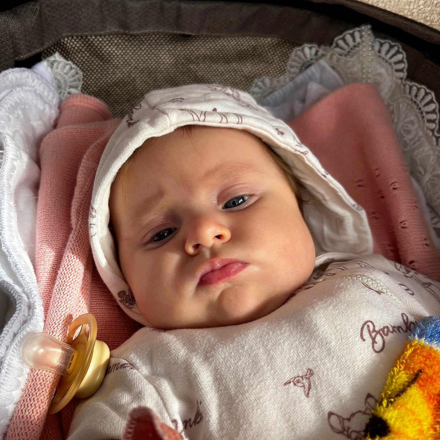 Denise participe au concours pour gagner de l'argent avec cette photo : baby, blanket, child, closeup, clothing, cozy, cute, expression, face, hood, indoor, infant, newborn, pacifier, pink_blanket, portrait, resting, soft_toys, warm, white_clothing