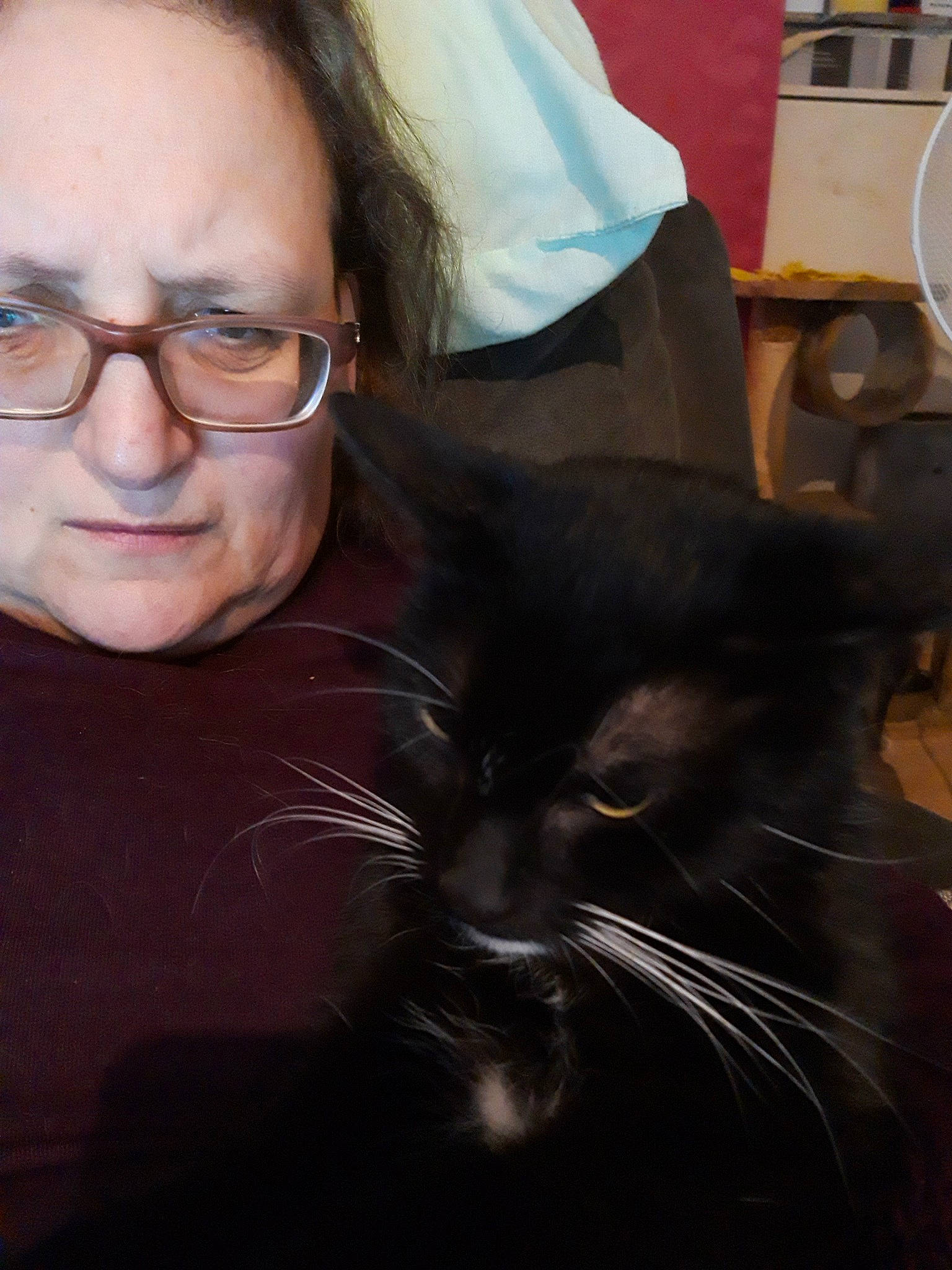 Babou participe au concours pour gagner de l'argent avec cette photo : black_cat, carnivoran, cat, cat_like_mammal, domestic_short_haired_cat, fur, girl, glasses, kitten, mammal, person, small_to_medium_sized_cats, vertebrate, vision_care, whiskers