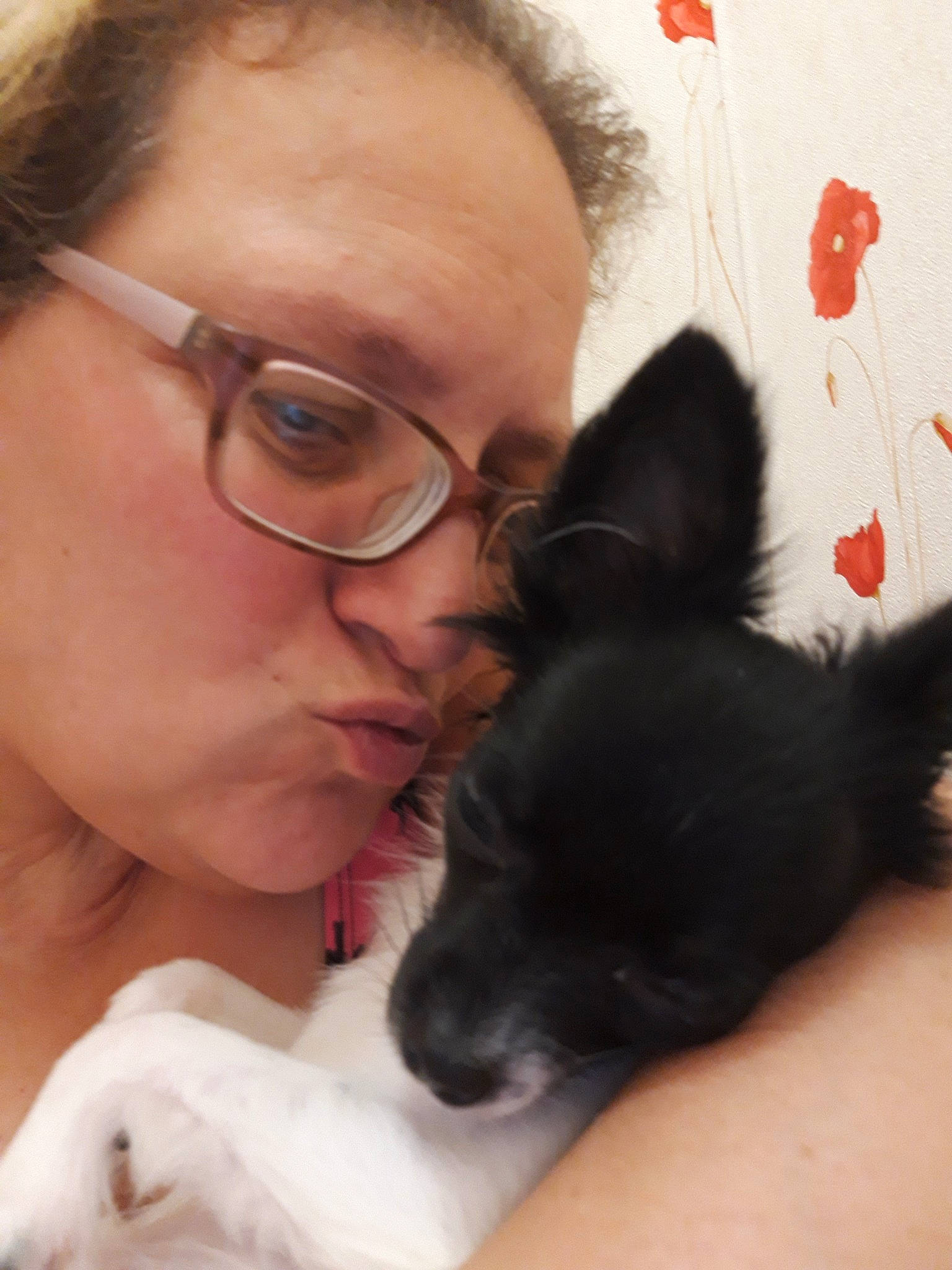 Laika a rejoint le concours — aidez-le/la à gagner de superbes lots ! carnivoran, companion_dog, dog, dog_breed, dog_breed_group, dog_like_mammal, ear, fur, person, puppy, skin, snout